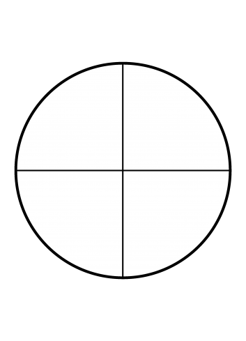 Visor Norica 4x20 con anillas