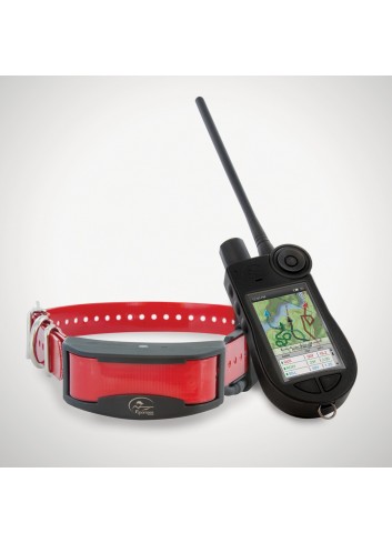Collar localizador Tek 2.0 GPS + adiestramiento