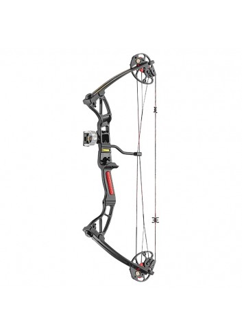 Arco Poleas Rex negro 28