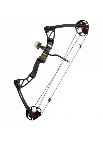 Arco Poleas Rex negro 28