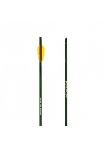 Flecha Ballesta Aluminio 22'' 2219