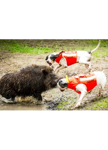 CHALECO CANIHUNT PROTECT ECO