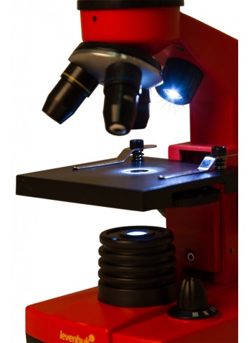 Microscopio Levenhuk Rainbow 2L Orange/Naranja