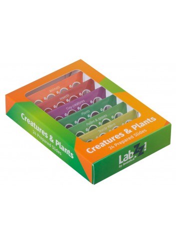 Set de preparaciones Levenhuk LabZZ CP24: criaturas y plantas