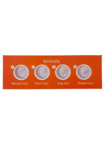 Set de preparaciones Levenhuk LabZZ CP24: criaturas y plantas