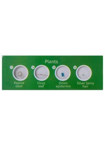 Set de preparaciones Levenhuk LabZZ P12: plantas