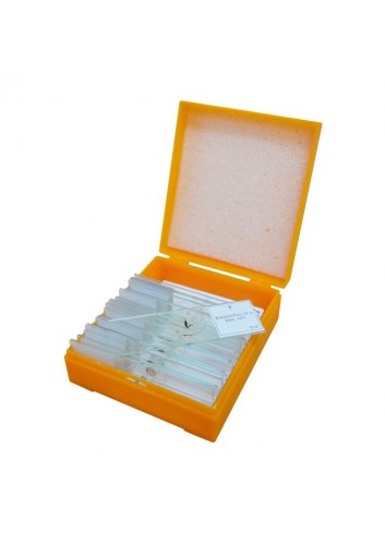 Set de preparaciones Levenhuk N10 NG