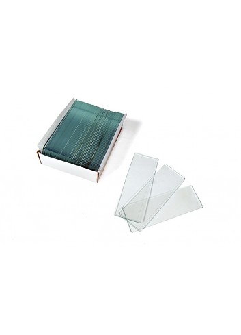 Portaobjetos vacíos Levenhuk G50, 50 unidades