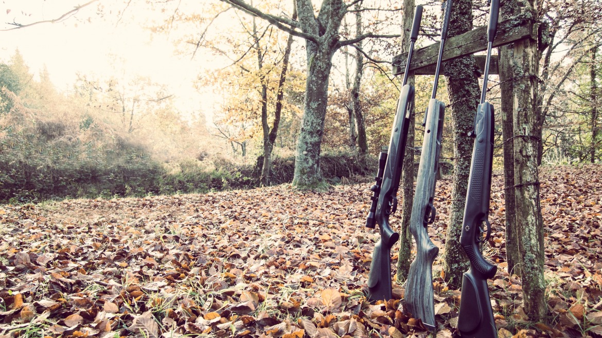 Nuevos kits de carabinas Norica